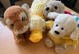 250520_Flo-Flocke_52_Tigerstark-4b_web Kopie