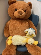 250909_Flo-Flocke-56_Pandas_Meeting Daisy und Bär