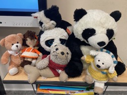 250909_Flo-Flocke-56_Pandas_Teaser_web