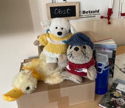 250916_Flo-Flocke-57_Hunde_Pause