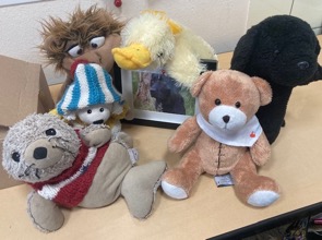 250916_Flo-Flocke-57_Hunde_Teaser2_web